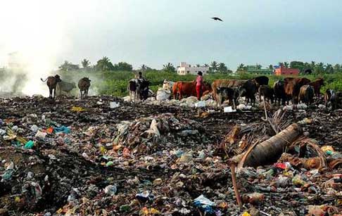  Plastic waste can be converted to useful fuel